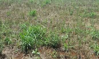 Imagem 4: Chácara próxima do aeroporto