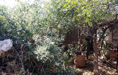 Imagem 6: Lote Comercial / Residencial a venda com 360,00m², Ótima localização e Preço, Solange Park