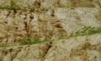 Imagem 3: Vende_se terreno pronto para construir