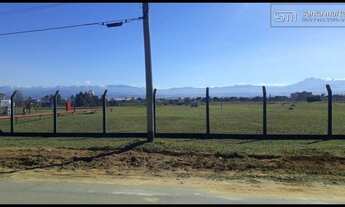 Imagem 4: ÁREA COMERCIAL PLANA JUNTO À DUTRA E AO SHOPPING - LORENA - SP