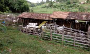 Imagem 7: Fazenda à Venda, em Cambuí (MG) com 22 alqueires, a 800 metros do asfalto e 4 km da cidade