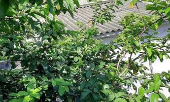 Imagem 6: Terreno de 300 m² na Casa Verde