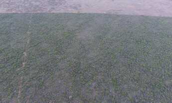 Imagem 3: Fazenda/Sítio/Chácara para venda com 310 ha em - São Gabriel - BA