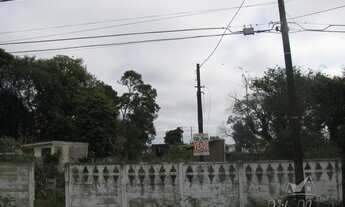 Imagem: LOTE UVARANAS