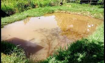 Imagem 4: FAZENDA CORTE/LEITE, COM VÁRZEA, BOA SEDE- CACHOEIRA PAULISTA - SP