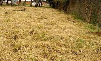 Imagem 3: Terreno para alugar, 5046 m² por R$ 15.000,00/mês - Recreio Anhangüera - Ribeirão Preto/SP