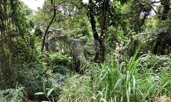 Imagem 6: Lindo terreno na Serra da Cantareira