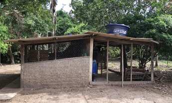 Imagem 3: Petrolina de Goiás - Casa Padrão - <br> Setor Central