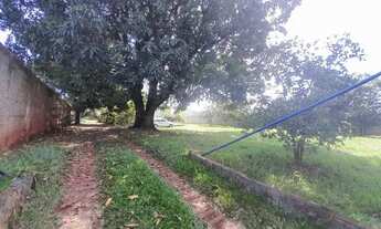 Imagem 3: Locação de Casas / Padrão na cidade de Araraquara