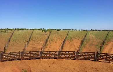 Imagem 5: Fazenda de alta produção de Leite