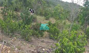 Imagem 7: TERRENO RURAL em JABOTICATUBAS - MG, BAMBURAL