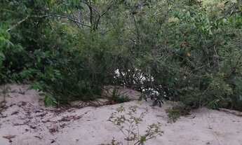 Imagem 7: Vendo chácara lote terreno sítio