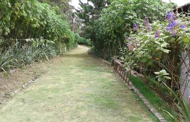 Imagem 2: Sítio : / Rural / Centro