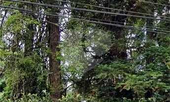 Imagem 2: Terreno Residencial Venda -Ótima localização, 521 m²- Barro Branco- São Paulo/SP