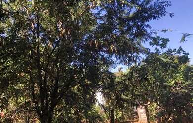 Imagem 3: Goiânia - Rural - <br> Sítios de Recreio dos Bandeirantes