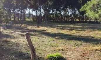 Imagem 3: Lindo terreno aproximadamente 600mts do asfalto da Ambev