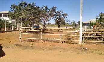Imagem 6: Corumbá 4 lote 1000 m2 entrada pelo posto Medalhão, Outled, 20 km de terra