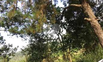 Imagem 4: Terreno Residencial SERRA DA CANTAREIRA-São Paulo/SP