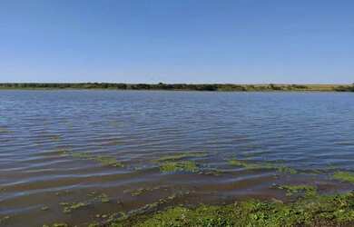 Imagem 2: Fazenda/Sítio/Chácara para venda tem 300 metros quadrados com 3 quartos