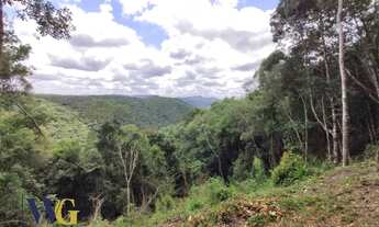 Imagem 6: Chácara para Venda em Campo Largo, Faxina