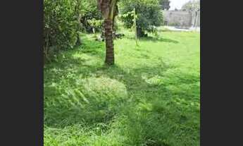 Imagem: Alugo Casa com Piscina no Barroco possui