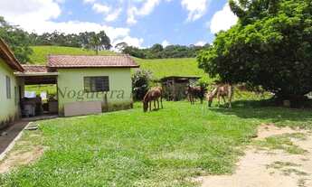 Imagem 2: Sítio com 10 alqueires em São Miguel Arcanjo - SP (Nogueira Imóveis Rurais