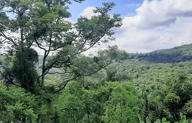 Imagem 6: Lindo terreno na Serra da Cantareira com vista panoramica