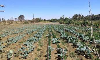 Imagem 1: Vendo chácara em Brasilândia