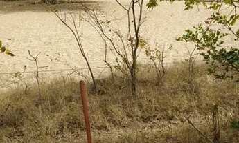 Imagem 7: Terreno de 16.000 metros na beira do rio