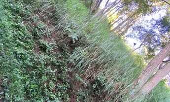 Imagem 2: Terreno Barra Mansa posse 1600m