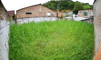 Imagem 6: V2472 - Vende Casa no Barigui / Antonina