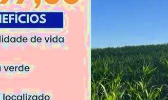 Imagem: GS - Lotes de qualidade e segurança em