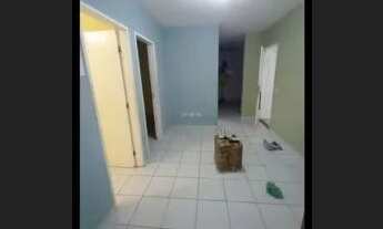 Imagem 2: Alugo prevê em pau amarelo Paulista