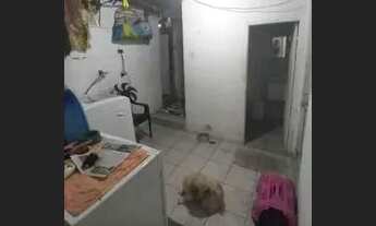 Imagem 3: Casa no Capão vendo ou troco