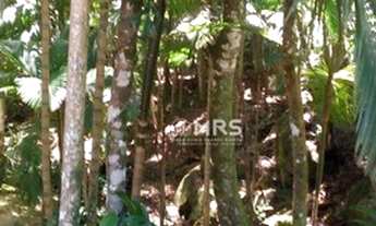 Imagem 6: Chácara com 3 dormitórios à venda, 15000 m² no bairro Galera - Canelinha/SC