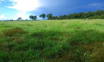 Imagem: Fazenda 264 há, 35 km de Cuiabá - mt