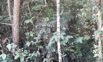 Imagem 3: Terreno à Venda no Parque Petrópolis com 978m²