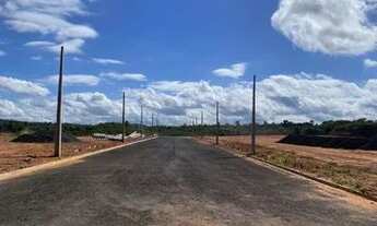 Imagem 6: Lotes SEM CONSULTA SPC/Serasa