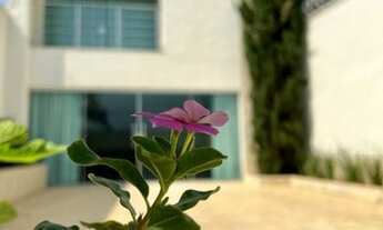 Imagem 3: Goiânia - Casa Padrão - Jardim Santo Antônio