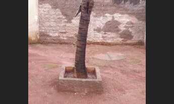 Imagem 4: AGIO CASA Casa com 3 dormitórios