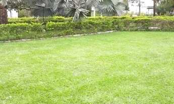 Imagem 4: Goiânia - Rural - <br> Vila Bela