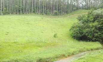 Imagem: Sítio espetacular,22 Hectares, plano, com