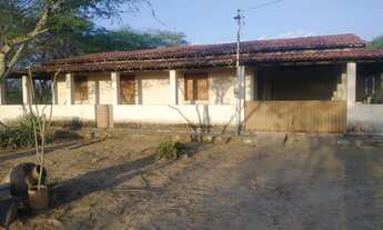 Imagem: Fazenda em Baixa Grande