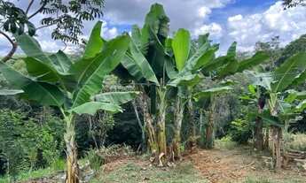 Imagem 4: Sitio 10.000m², casa, espaço gourmet independente, piscina, poço artesiano, Jaboticatubas