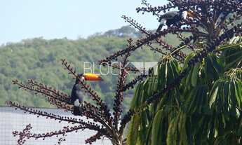 Imagem: Freguesia (Jacarepaguá