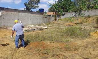 Imagem 2: Terreno plano, murado, rua asfaltada e muito bem localizado