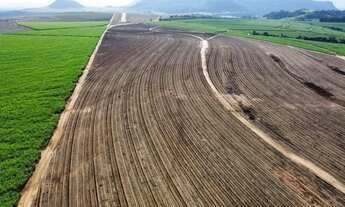 Imagem 3: Fazenda de cana 140 alqueires Região de Piracicaba SP