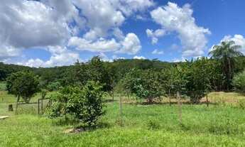 Imagem 6: Fazendinha de 4 hectares, as margens do Rio das Velhas, casa, espaço gourmet e muito mais