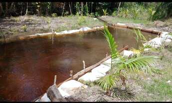 Imagem 3: Terreno em Morros