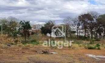 Imagem 3: Lote para alugar, Canelas - Montes Claros/MG - R$ 7.000,00 - Alugar Imóveis
